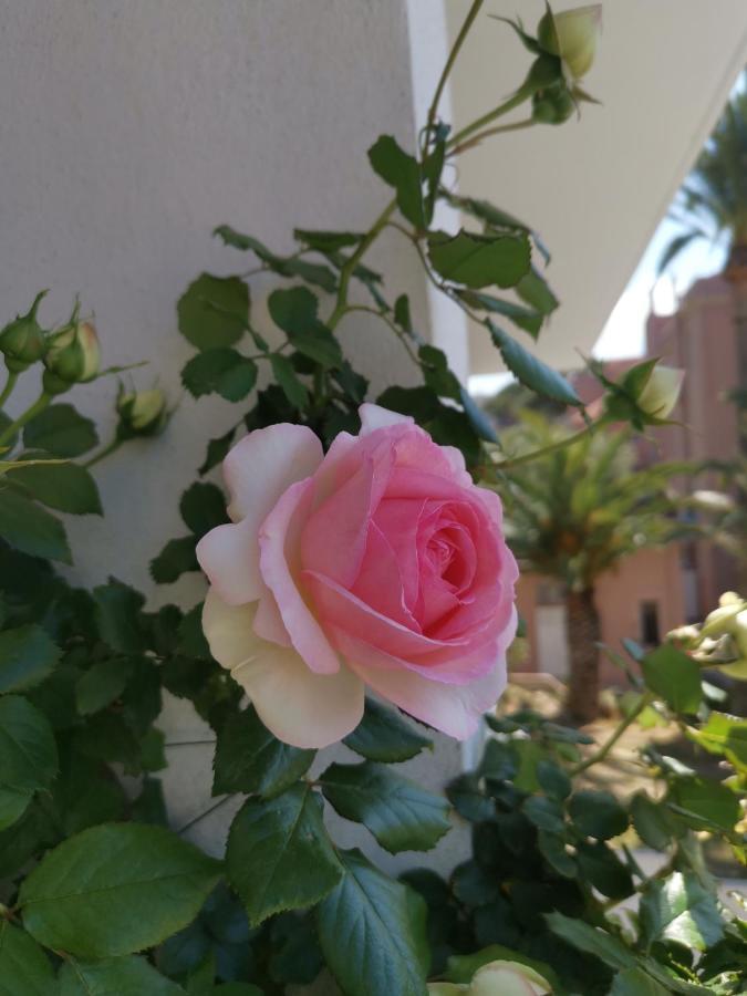 Ofdl B T1 Bandol - Briotine Foyalais Apartman Kültér fotó